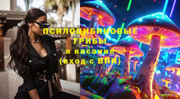 ешки Алексин