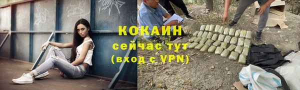 ешки Алексин