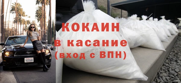 ешки Алексин