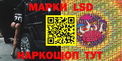 дмт Можайск