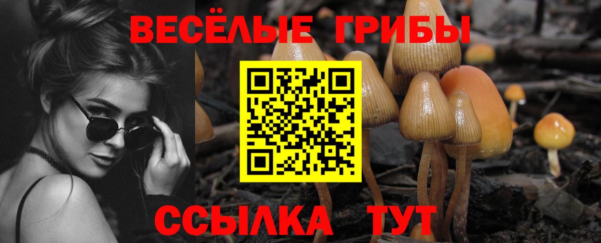 Галлюциногенные грибы Magic Shrooms Гуково